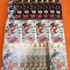 アマダ 来来！キョンシーズ ミニカード 30袋未開封 箱付き 実物大お札付き アマダ 来来！キョンシーズ ミニカード 30袋未開封 箱付き 実物大お札
