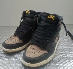 Nike Air Jordan 1 Retro パロミノ 美品 29cm 2025年最新】palomino jordanの人気アイテム - メルカリ