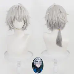 にじさんじ すぷれあ 城瀬いすみ しろせいすみ ウィッグ - メルカリ