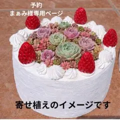 まぁみ様専用ページ