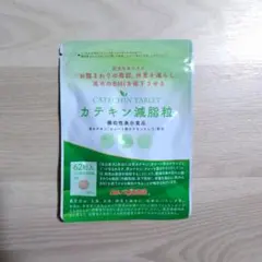 カテキン減脂粒 62粒入りのサムネイル