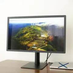 LG 23.7インチUltraFine 4Kモニター 本体【動作品 / 難あり】