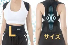 ✨️姿勢ベルト サポーター 美姿勢 猫背 歪み予防 背中 男女兼用 Lサイズ