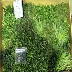 10枚 人工グリーンパネル 25cm角 造花 壁面緑化 DIY - メルカリ