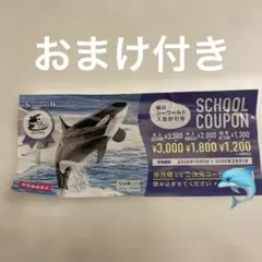 チップstar様 リクエスト 2点 まとめ商品