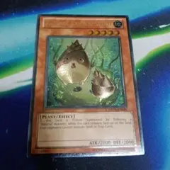 英語 遊戯王 ナチュルバンブーシュート DREV レリーフ