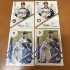 Item thumbnail for item f36a9563-40fe-40d8-bb00-e9d57972b625