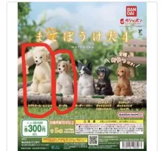 まてぼけ犬4 ラブラドール、ビーグルセット
