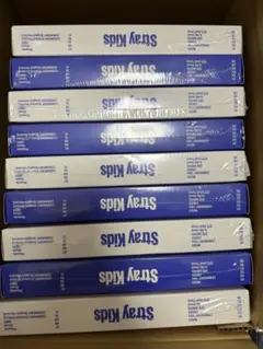 straykids スキズ KARMA 未開封 9枚