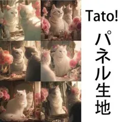 Tato !(=^・^=)パネル生地 おめかしした子猫 DFS10