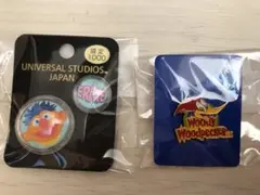 ユニバーサル・スタジオ・ジャパン ピンバッジピンズ　セサミストリート