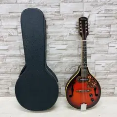 2025年最新】フラットマンドリンの人気アイテム - メルカリ