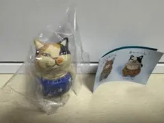 しろもふさんの木彫り猫フィギュア　おぱんつ猫　ぴったり三毛