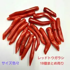 【AFP】まとめ売り18個　レッドサンゴ　デザインモチーフ　唐辛子
