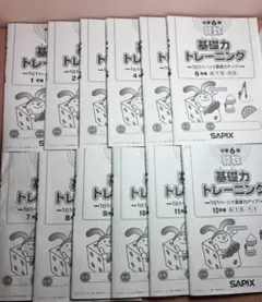 2025年最新】サピックス 基礎力トレーニング 1年生の人気アイテム