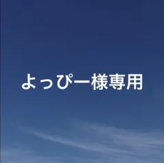 よっぴー様 リクエスト 2点 まとめ商品