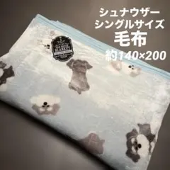 Item thumbnail for item 3ab5bb93-299d-4316-94fd-b4368654be2a