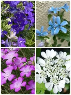 とも☆プロフ確認をお願い致します！様 リクエスト 5点 まとめ商品