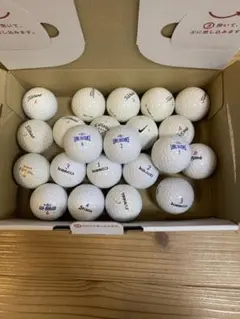 Item thumbnail for item 8f3e7b63-4318-485d-ba28-aa39d6bd469a