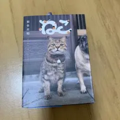 ねこ 岩合光昭　サイン付き