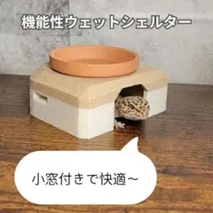 Item thumbnail for item 3e4f4543-8f9c-4b1e-b314-959c47d10f2d