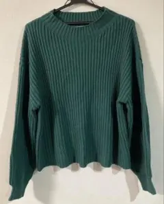 タートルネックグリーン