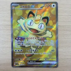 ニャースEX HP170 SR 100/080