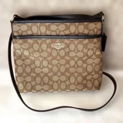 Item thumbnail for item d352e67a-641b-4081-ac14-a2e1597faf2c