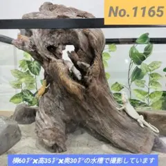 Item thumbnail for item 55a1a3e3-73b5-438f-b437-a80609502ed9