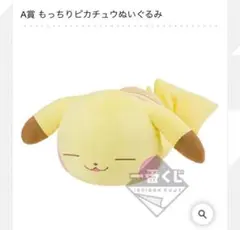 ピカチュウ超特大ぬいぐるみ一番くじA賞2013年新品未開封 2025年最新】A賞 ピカチュウ ぬいぐるみの人気アイテム - メルカリ