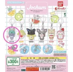 JOCHUM めじるしアクセサリー ちまた　2個　ジェオチャム