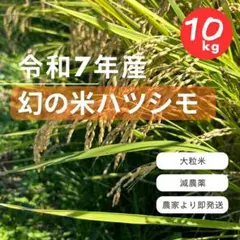 2026年最新】ハツシモの人気アイテム - メルカリ