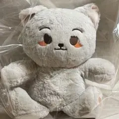 ジェヒョン　40cm ぬいぐるみ　新品　マスター　nct127 nct Amazon.co.jp: ジェヒョン NCT CCOMAZ ぬいぐるみ Peach Farm T