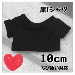 10cmぬい服 Tシャツ マスコットぬい ちびぐるみ 着せ替え 推し活