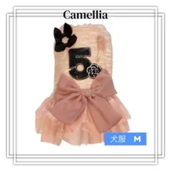 #Camellia ペット服　大リボン付　ピンク　COCO風　Mサイズ　No.５
