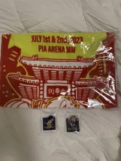 めいちゃん どんちゃん騒ぎ ぴあアリーナ 通し券 タオル 入場特典 アクスタ