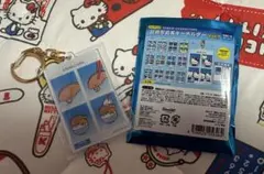 サンリオ 証明写真風 キーホルダー Vol.1 KIRIMIちゃん.