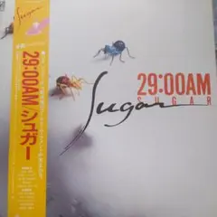 帯付き 29:00AM / シュガー　シティポップ　AOR 帯付き 29:00AM / シュガー シティポップ AOR | Mercari