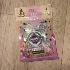 東京ディズニーリゾート ホーンテッドマンション モーメントパーツ