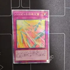 クオシク 遊戯王OCG デュエルモンスターズ