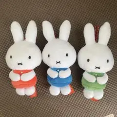 Item thumbnail for item 1e074d99-3c53-4811-ad2c-715d2c8e0af5