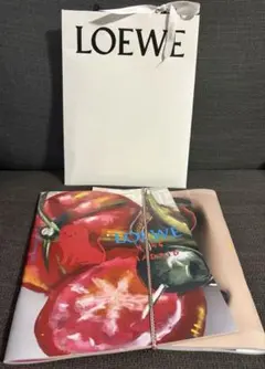 LOEWE ロエベ ショップ袋 ショッパー カタログ　セットのサムネイル