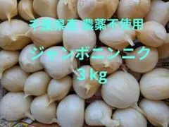 千葉県産 ジャンボニンニク3kg栽培期間中農薬不使用 - メルカリ