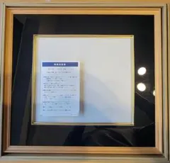 色紙用額 箱付き　(色紙なし)