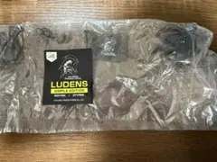 Item thumbnail for item 6b3f8adb-2988-4434-ad6b-c5390775ce2d