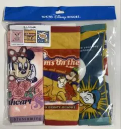 ディズニー ミニタオルセット　ミニタオル　セット　3枚セット