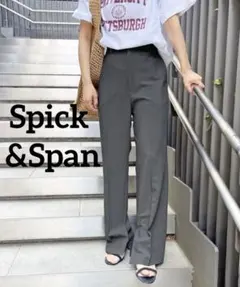 Spick & Span スピックアンドスパン ハイブリッドトロストレートパンツ