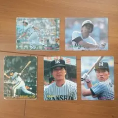2025年最新】佐野仙好の人気アイテム - メルカリ