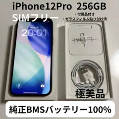 【極美品】iPhone 12 Pro 本体 256GB SIMフリー