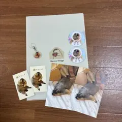 Marmot Village クリアファイル ステッカー キーホルダーセットのサムネイル